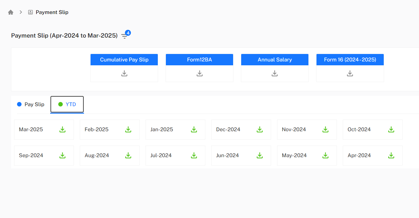 Pay Slip and YTD Tabs